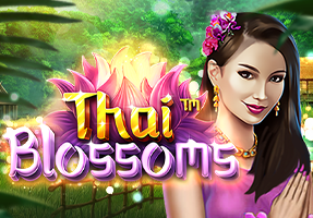 jk8 thai blossoms