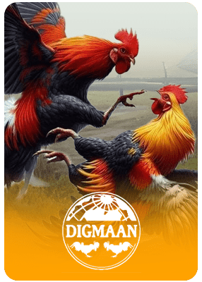 jk88 Digmaan